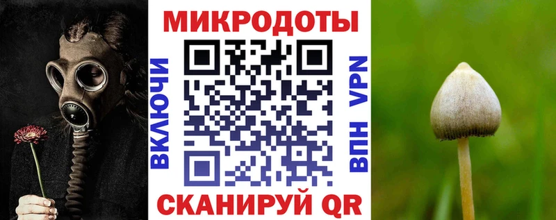 Псилоцибиновые грибы MAGIC MUSHROOMS  как найти наркотики  Чекалин 